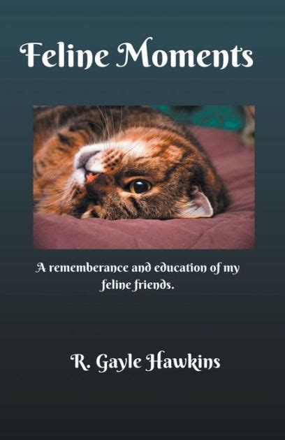 Feline Moments By R Gayle Hawkins Paperback Barnes And Noble