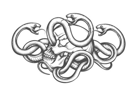 Skull Snake Tattoo Vector Images Over 1700