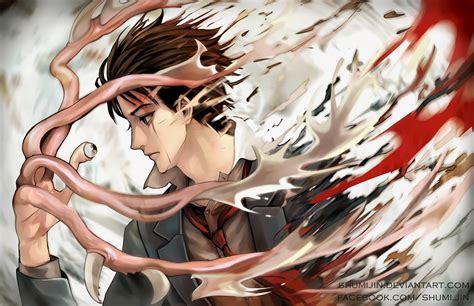 Parasyte The Maxim Hd Wallpapers And Backgrounds