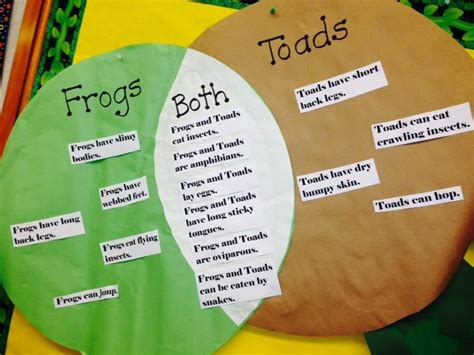 Mrs Ventos Kindergarten Frogs And Toads