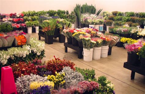 Quang ba flower market, for instance, is filled with fresh flowers from various vendors and makes you feel like you have entered a tropical flower garden or this oasis allows you to buy fresh flowers in bulk at cheap prices. Heres What No One Tells You About Wholesale Flowers Online ...