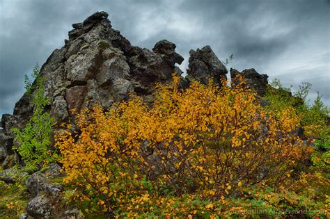 Iceland Autumn Color In Myvatn Region September 2016 Iceland Photography
