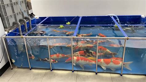 Luxury Decor Indoor Pvc Fish Tank Aquaculture Stainless Steel