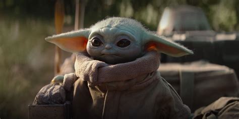 Since jedi do not partner up, the yoda species must therefore be the product of some kind of. Baby Yoda Plays Baby Shark in Mandalorian Mashup Video