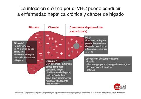 Evolución natural de la infección por el virus de la hepatitis C ASSCAT