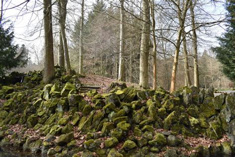 Beautiful Forest Landscape With Moss Stones In Kassel Germany Stock
