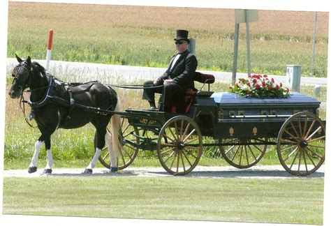 Horse Drawn Carriages Storke Funeral Home