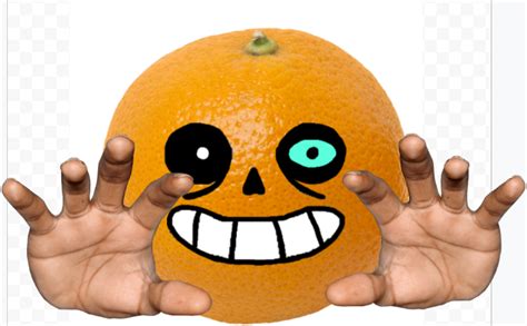 Orange Sans Rsansasfood