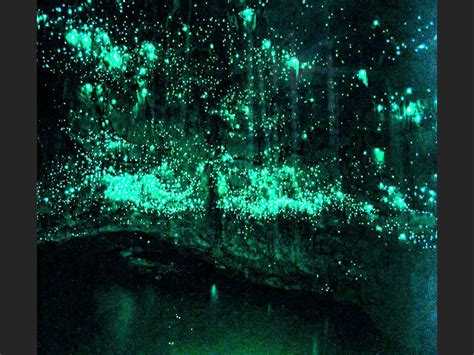 Glow Worm Cave Wallpaper 1440x1080 70522