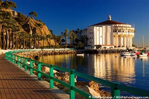 Safe and secure online booking and guaranteed ecolodge was perfect for my stay in santa catalina, it was quiet, clean and super relaxing! Big Band Remote: Avalon Ballroom Catalina Island California