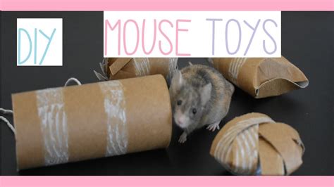 Toys can be another expense if we buy them ready from a pet store. DIY MOUSE ENRICHMENT TOYS ♡DIY with Daisy♡ - YouTube