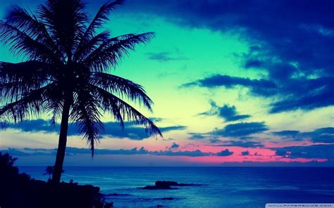 Tropical Wallpaper ·① Download Free Full Hd Backgrounds For Desktop Mobile Laptop In Any