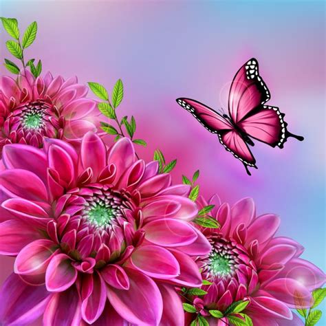 Flower Dahlia And Butterfly Psd Background For Photoshop