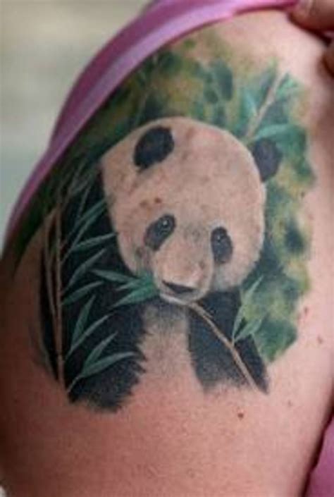 Panda Bear Tattoos Meanings Designs Pictures And Ideas Tatring