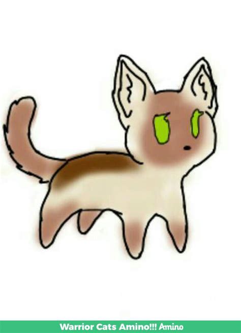 Creanlily Wiki Warrior Cats Amino Amino