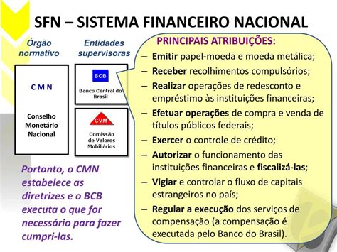 No Sistema Financeiro Nacional Temos Instituições Normativas E Operadoras