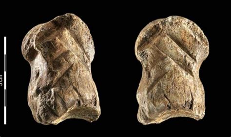 A 51000 Year Old Engraved Bone Reveals Neanderthals Capacity For
