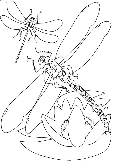 Dragonfly coloring pages for kids to print and color. Free Printable Dragonfly Coloring Pages For Kids