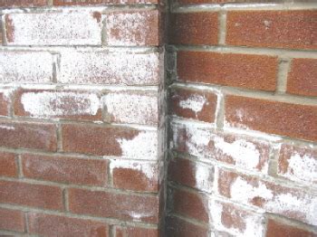 Brick efflorescence is a powdery white residue that accumulates on bricks, mortar, and grout, usually during the first year after construction. efflorescence removal | Concrete Sealing Ratings