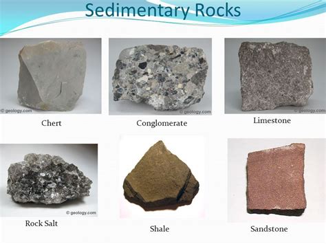 Types Of Sedimentary Rocks Valeria Has Kane
