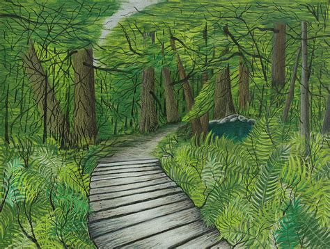 Wooded Path Drawing By Barbara Zipperer Fine Art America