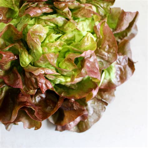 Free Images Plant Summer Dish Food Salad Harvest Ingredient