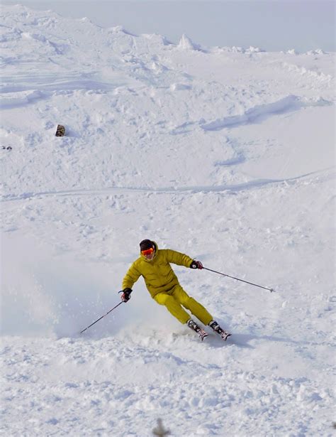 This product is perfect for. Ski Blog with Harald Harb: Skiing powder