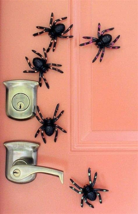 Designed to look like a realistic white spider web. Halloween Decorations Spiders & Web to Spook up Everyone