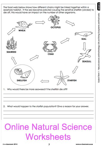 Free Printable 6th Grade Science Worksheets