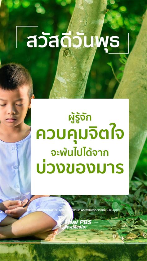 เตือนใจคน - Thai PBS สวัสดีทุกสีวัน