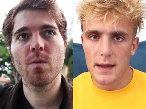 Shane Dawsons Jake Paul Documentary Criticized For Sociopath Handling