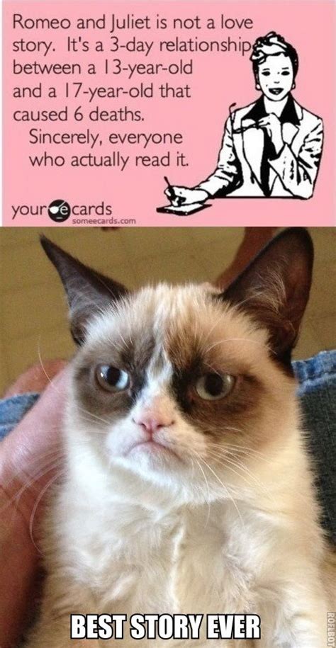 Grumps Grumpy Cat Humor Funny Grumpy Cat Memes Grumpy Cat