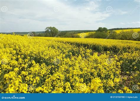 Amazing Bright Colorful Spring And Summer Landscape For Wallpaper
