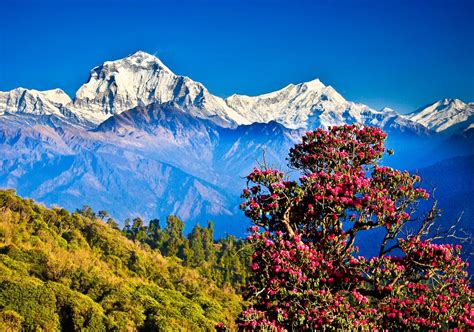 PARADISE NEPAL LISTED IN 10 COOLEST COUNTRIES TO VISIT IN 2015 BY ...
