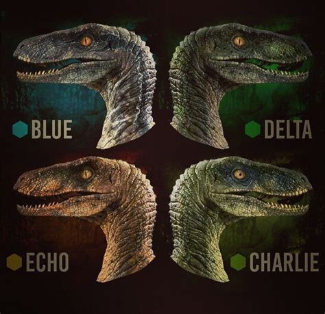 The Raptors Blue Delta Echo And Charlie Jurassic World Park Jurassic World Raptors