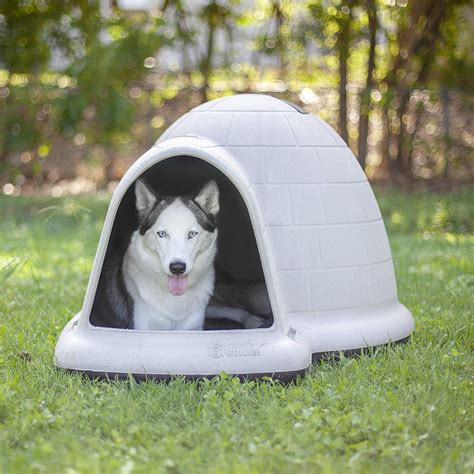 5 Best Luxury Dog Houses For Outdoors In 2019 Review