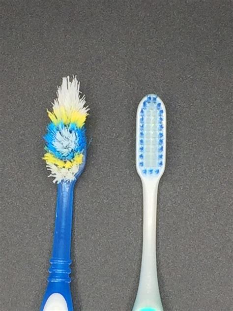 A toothbrush is very similar to a dish sponge. How often should I replace my toothbrush? - Green Oak ...