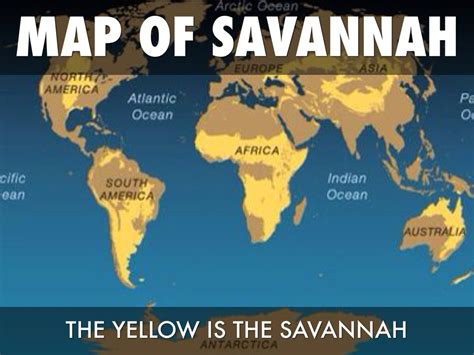 Where Is Savanna Map