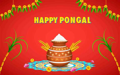 Pongal Festival Wallpapers Happy Pongal Pongal Images Happy Sankranti