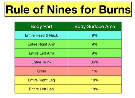 Pediatric Rule Of Nines Chart