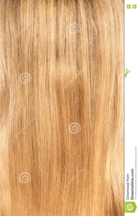 Blonde Hair Texture Stock Photo Image Of White Shampoo
