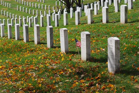 Veterans Day Ceremony At Arlington National Cemetery Flickr