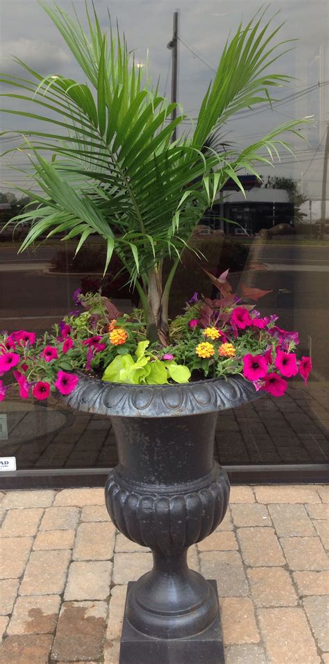 Tropical Summer Container Made By Jj Landscaping And Garden Center
