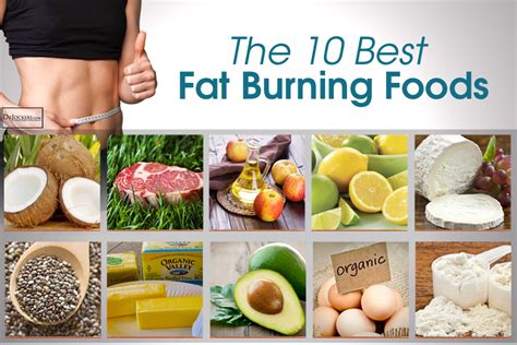 The following are some lists of foods that burn visceral fat and may also promote weight loss; 21st Century Weight Loss Strategies