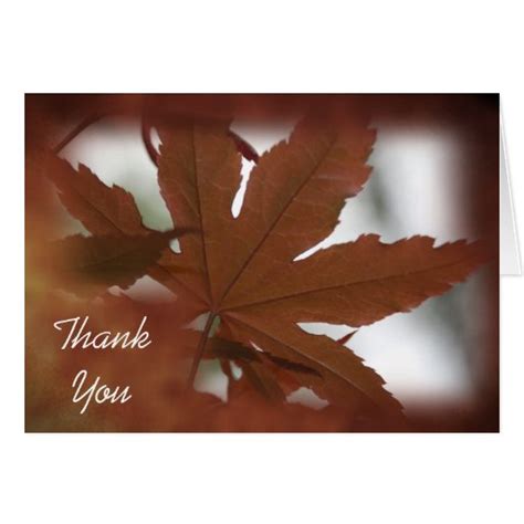 Japanese Maple Leaf Thank You Note Card Zazzle