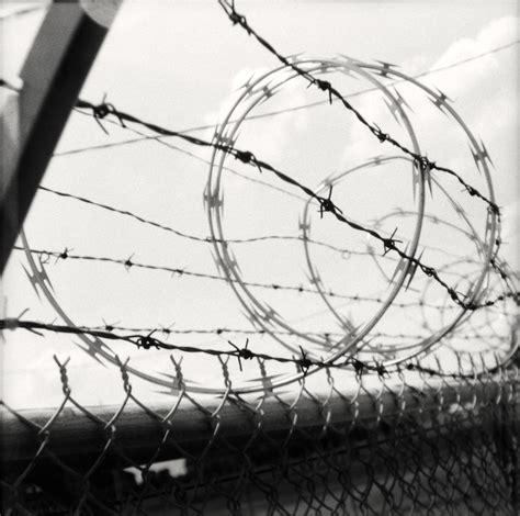 Barbed Wire on Fence | Steve Snodgrass | Flickr