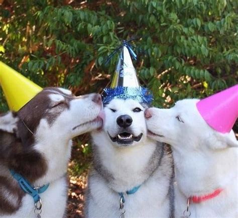 436 Best Happy Birthday Images On Pinterest Birthdays