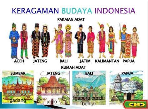 Nama Rumah Adat Pakaiantarian Adat Dan Senjata Tradisional Di Provinsi Indonesia Lengkap