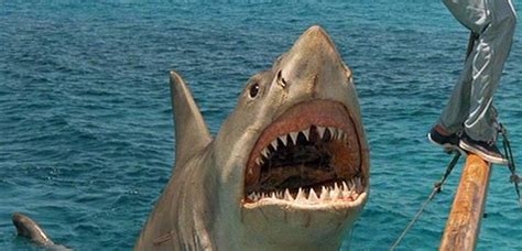 Nathan flomm, in order to avoid the humiliation of having missed out on a hugely successful business, assumes a new identity on martha's vineyard. The Entire 'Jaws' Franchise is Leaving Netflix So Enjoy it ...