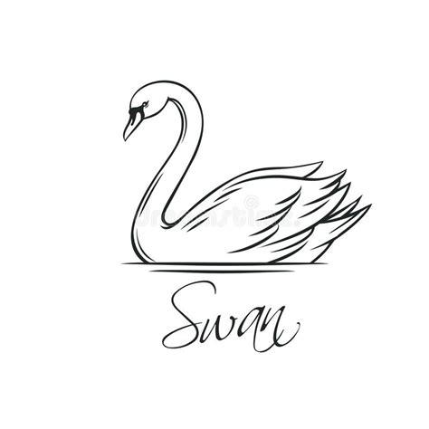 Swans Outline Icon Stock Vector Illustration Of Animal